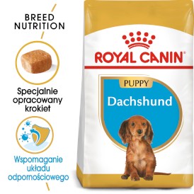 ROYAL CANIN Dachshund Jamnik Puppy 1,5kg - Zdjęcie główne