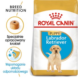 ROYAL CANIN Labrador Retriever Puppy 3kg - Zdjęcie główne