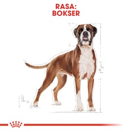 ROYAL CANIN Boxer Adult 12kg - Zdjęcie nr 3