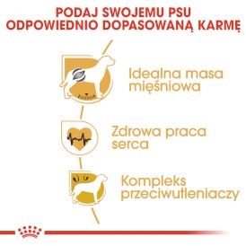 ROYAL CANIN Boxer Adult 12kg - Zdjęcie nr 5