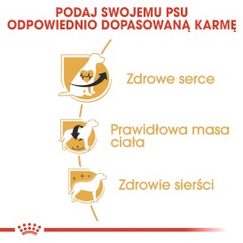 ROYAL CANIN Cavalier King Charles Adult 1,5kg - Zdjęcie nr 5