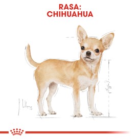 ROYAL CANIN Chihuahua Adult 500g - Zdjęcie nr 3