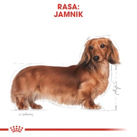 ROYAL CANIN Dachshund Jamnik Adult 7,5kg - Zdjęcie nr 3