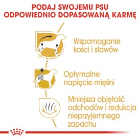 ROYAL CANIN Dachshund Jamnik Adult 1,5kg - Zdjęcie nr 5
