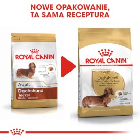 ROYAL CANIN Dachshund Jamnik Adult 1,5kg - Zdjęcie nr 6