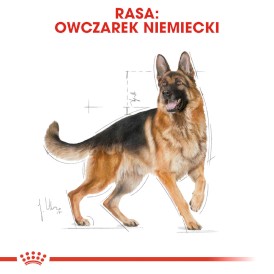 ROYAL CANIN German Shepherd OWCZAREK Adult 11kg - Zdjęcie nr 3