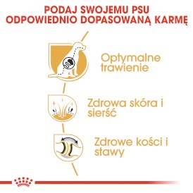 ROYAL CANIN German Shepherd OWCZAREK Adult 11kg - Zdjęcie nr 5