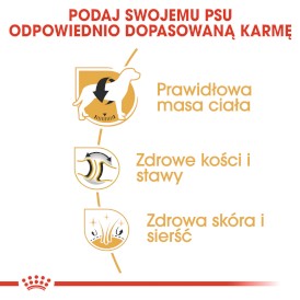 ROYAL CANIN Labrador Retriever Adult 12kg - Zdjęcie nr 5