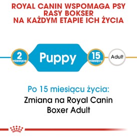 ROYAL CANIN Boxer Puppy 12kg - Zdjęcie nr 4
