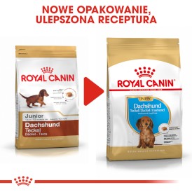 ROYAL CANIN Dachshund Jamnik Puppy 1,5kg - Zdjęcie nr 7
