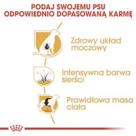 ROYAL CANIN Miniaturowy Schnauzer Adult 3kg + Krople na KLESZCZE GRATIS !! - Zdjęcie nr 6