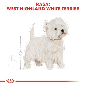 ROYAL CANIN West Highland White Terrier Adult 3kg - Zdjęcie nr 4