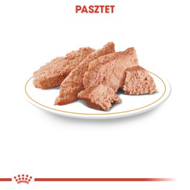 ROYAL CANIN Yorkshire Terrier Adult 12x85g - Zdjęcie nr 4