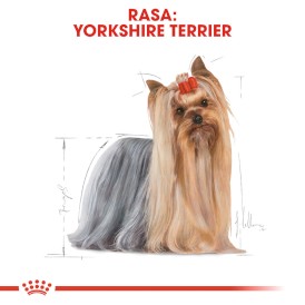 ROYAL CANIN Yorkshire Terrier Adult 500g - Zdjęcie nr 3