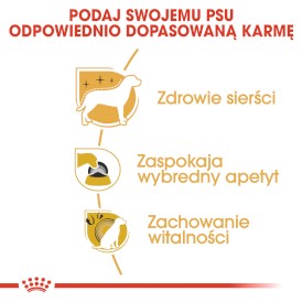 ROYAL CANIN Yorkshire Terrier Adult 500g - Zdjęcie nr 5