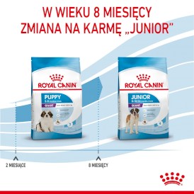 ROYAL CANIN Giant Puppy 15kg - Zdjęcie nr 7