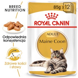 ROYAL CANIN Maine Coon Adult w sosie 12x85g - Zdjęcie nr 2