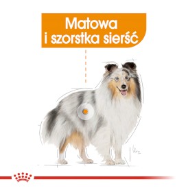 Royal Canin Mini Coat Care 8kg - Zdjęcie nr 3
