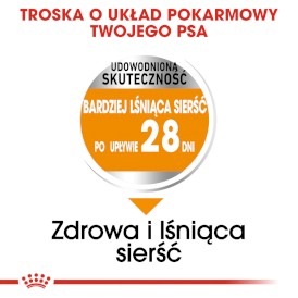 Royal Canin Mini Coat Care 8kg - Zdjęcie nr 4