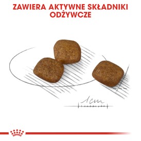 Royal Canin Mini Coat Care 1kg - Zdjęcie nr 5