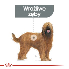 ROYAL CANIN Maxi Dental Care 3kg - Zdjęcie nr 3