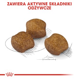 ROYAL CANIN Medium Dental Care 10kg - Zdjęcie nr 5