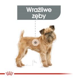 ROYAL CANIN Mini Dental Care 8kg - Zdjęcie nr 3