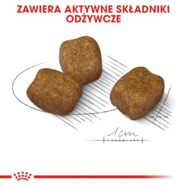 ROYAL CANIN Mini Dental Care 8kg - Zdjęcie nr 5