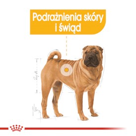 ROYAL CANIN Medium Dermacomfort 12kg - Zdjęcie nr 4