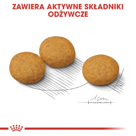 ROYAL CANIN Medium Dermacomfort 12kg - Zdjęcie nr 6