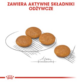 ROYAL CANIN Mini Dermacomfort 1kg - Zdjęcie nr 6