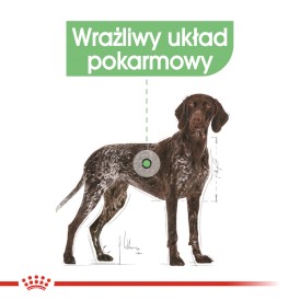 ROYAL CANIN Maxi Digestive Care 3kg - Zdjęcie nr 4