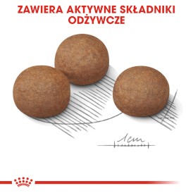 ROYAL CANIN Maxi Digestive Care 3kg - Zdjęcie nr 6