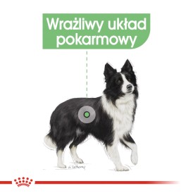 ROYAL CANIN Medium Digestive Care 3kg - Zdjęcie nr 4