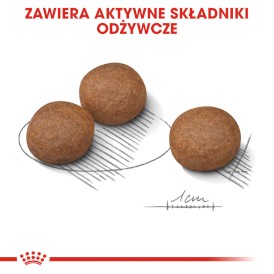 ROYAL CANIN Medium Digestive Care 3kg - Zdjęcie nr 6
