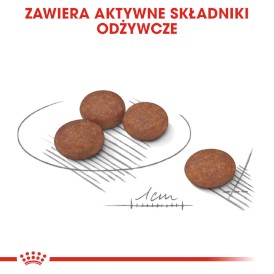 ROYAL CANIN Mini Digestive Care 1kg - Zdjęcie nr 6