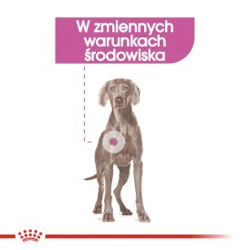 ROYAL CANIN Maxi Relax Care 9kg - Zdjęcie nr 3