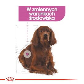 ROYAL CANIN Medium Relax Care 10kg - Zdjęcie nr 3
