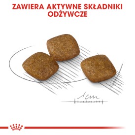 ROYAL CANIN Mini Relax Care 3kg - Zdjęcie nr 4
