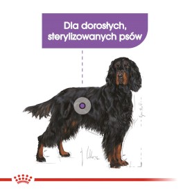 ROYAL CANIN Maxi Sterilised 12kg - Zdjęcie nr 4