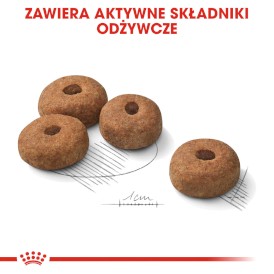 ROYAL CANIN Maxi Sterilised 12kg - Zdjęcie nr 6