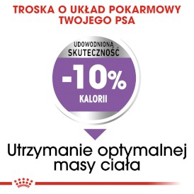 ROYAL CANIN Medium Sterilised 3kg - Zdjęcie nr 5
