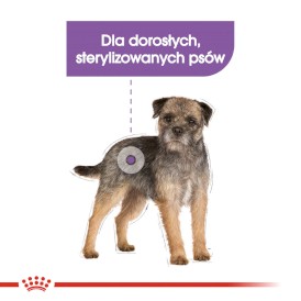 ROYAL CANIN Mini Sterilised 1kg - Zdjęcie nr 4