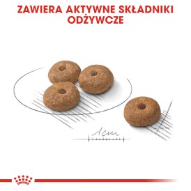 ROYAL CANIN Mini Sterilised 1kg - Zdjęcie nr 6