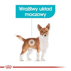 ROYAL CANIN Mini Urinary Care 8kg - Zdjęcie nr 3
