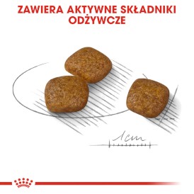 ROYAL CANIN Mini Urinary Care 1kg - Zdjęcie nr 5