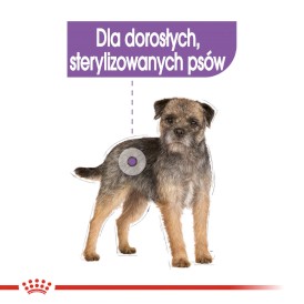ROYAL CANIN Sterilised dla psa w pasztecie 12x85g - Zdjęcie nr 4