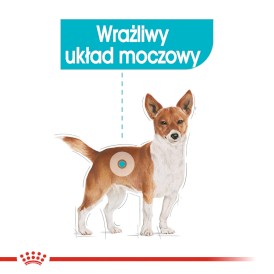 ROYAL CANIN Urinary Care w pasztecie 12x85g - Zdjęcie nr 4