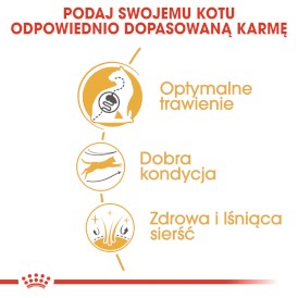 ROYAL CANIN BENGAL Adult 400g - Zdjęcie nr 5