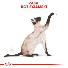 ROYAL CANIN SIAMESE Adult 400g - Zdjęcie nr 3